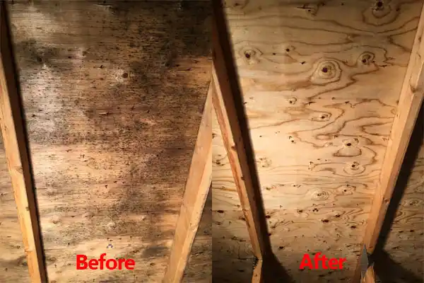 water damage restoration service Valhalla
